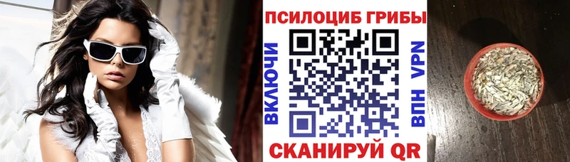 Галлюциногенные грибы ЛСД  Венёв 